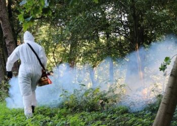 Tarnobrzeg: Będzie odkomarzanie – KOMUNIKAT