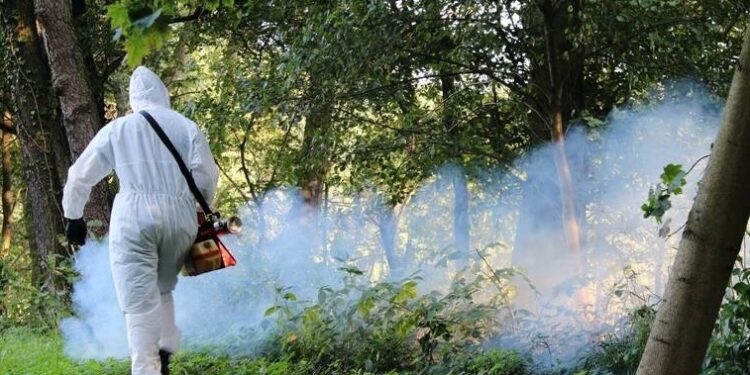 Tarnobrzeg: Będzie odkomarzanie – KOMUNIKAT