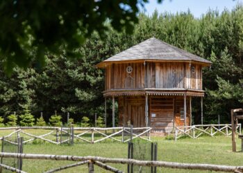 Kolbuszowa: Leśnictwo dla turystów