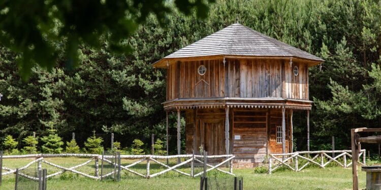 Kolbuszowa: Leśnictwo dla turystów