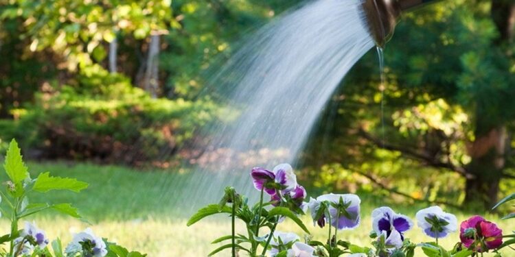 Mielec: Oszczędnie z wodą…