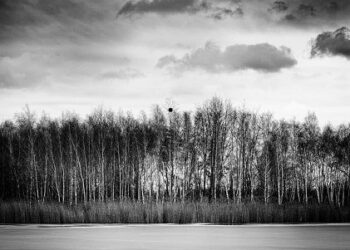 Tarnobrzeg. „Zamyślenie”. Wystawa fotografii Radka Delimaty.