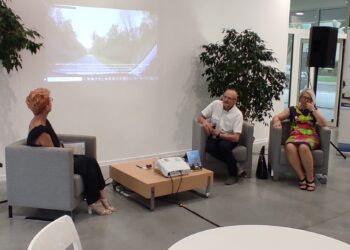 Mielec:  Droga do Łopienki