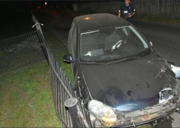 Kolbuszowa/Tarnobrzeg. Pijani za kółkiem.