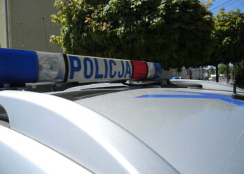 Kolbuszowa: Oszukane przy internetowej sprzedaży