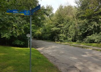 Tarnobrzeg. Wybrano „Wzorowy Ogród Działkowy 2022”.