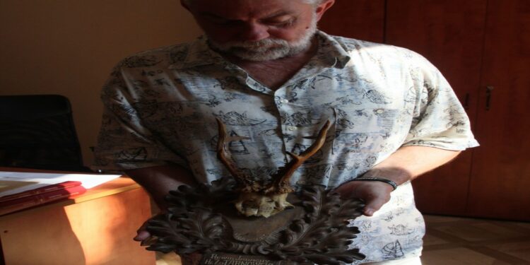 Tarnobrzeg. Nowy dar dla muzeum – poroża.