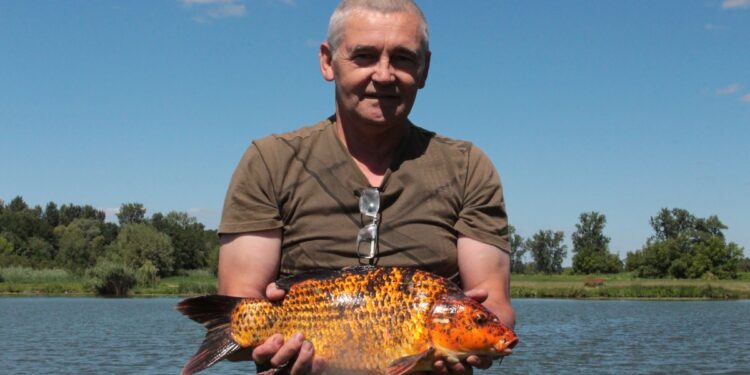 Gorzyce. Święto Ryby w Motyczu Poduchownym