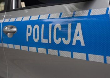 Mielec: Awanturnik zatrzymany w areszcie.