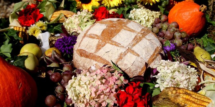 Tarnobrzeg. Dożynki w Zakrzowie i Wielowsi.