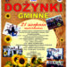 Połaniec: Dożynki gminne