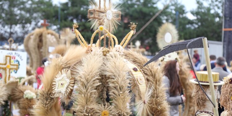 Padew Narodowa: Dożynki w regionie.