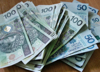 Mielec: Okradł swoja babcię…