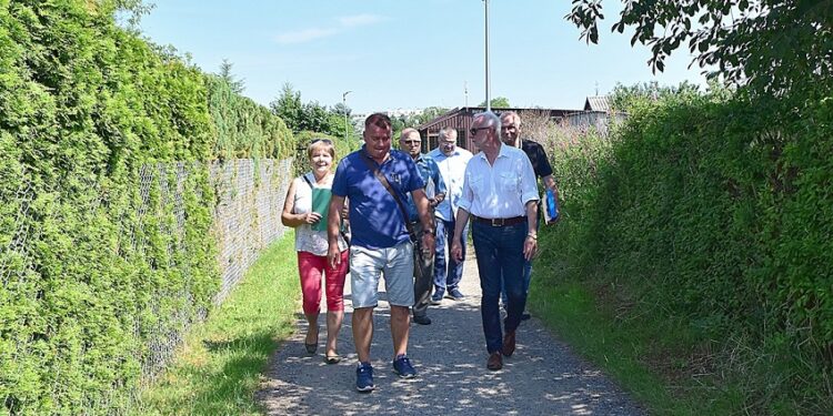 Tarnobrzeg. Który ogród najładniejszy?