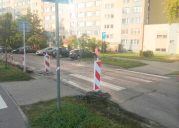 Stalowa Wola: Modernizacja przejść dla pieszych na Wojska Polskiego