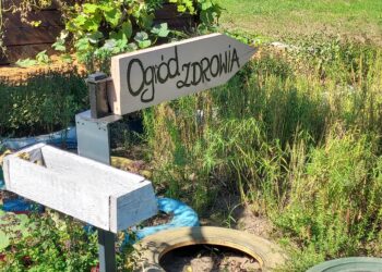 Krzcin: Ogród, który pomaga.