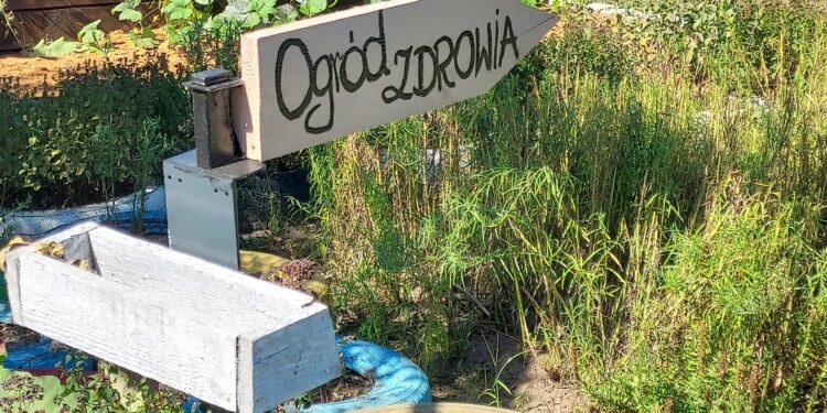 Krzcin: Ogród, który pomaga.