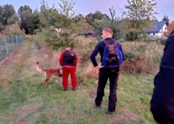Kolbuszowa: Szczęśliwy finał nocnych poszukiwań 81-latka