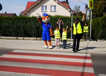 Tarnobrzeg. Bezpieczni w drodze do szkoły