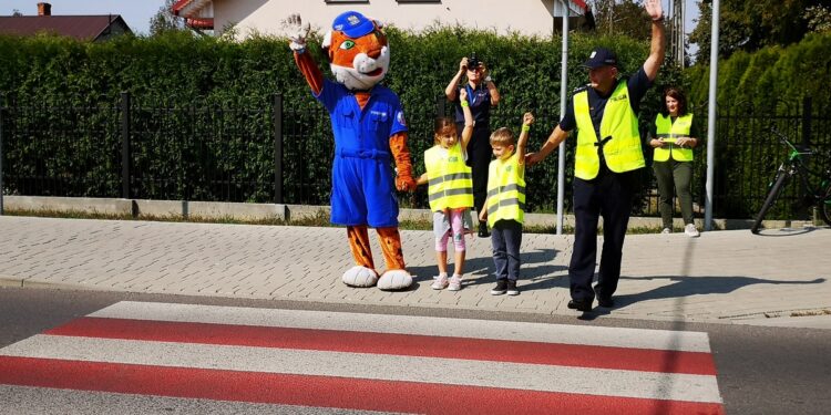 Tarnobrzeg. Bezpieczni w drodze do szkoły