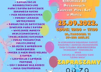 Mielec: Adoptuj Psiaka