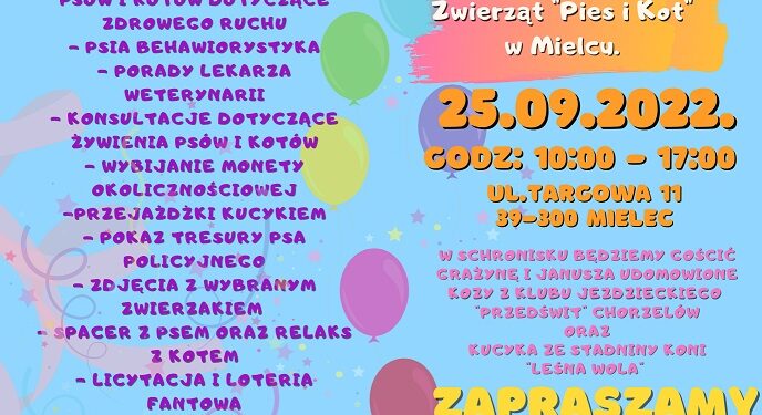 Mielec: Adoptuj Psiaka