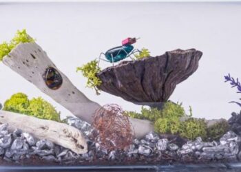 Warsztaty w nurcie trash art w mieleckiej  SP nr 7