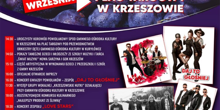 Stalowa Wola: Kolejny przetarg na pierwszy etap modernizacji DPS z wysoką ceną