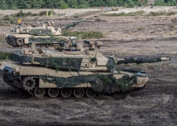 Nowa Dęba. Niedźwiedź na poligonie