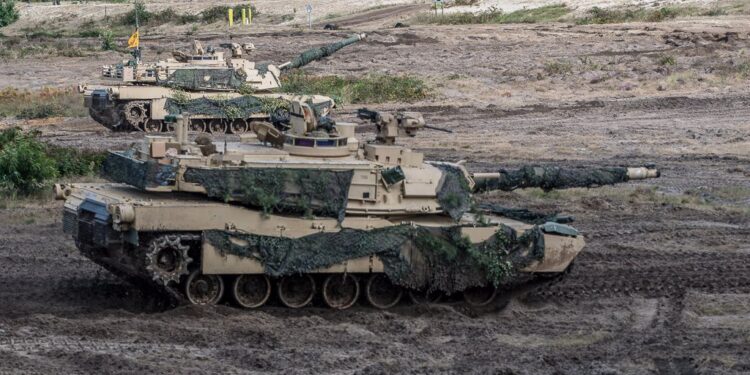 Nowa Dęba. Niedźwiedź na poligonie