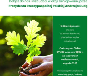 Stalowa Wola: Nadleśnictwo zaprasza po sadzonki w ramach akcji #sadziMY