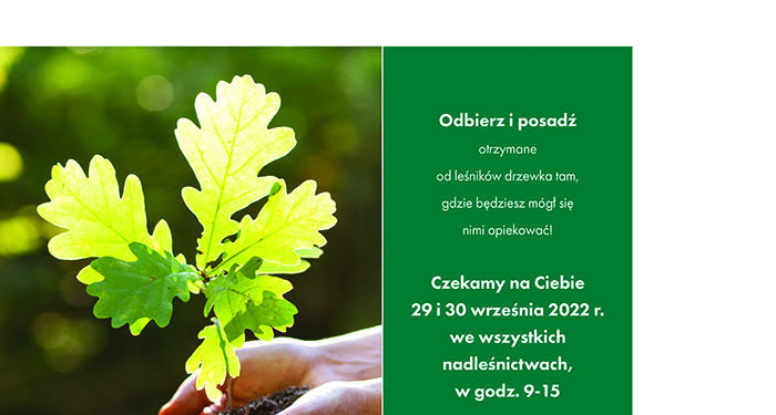 Stalowa Wola: Nadleśnictwo zaprasza po sadzonki w ramach akcji #sadziMY
