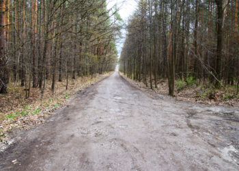 Nisko: Budowa ulicy Jana potrwa 3 miesiące