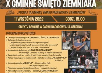 Padew Narodowa: X Gminne Święto Ziemniaka.