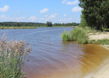 Nisko: Ruszy projektowanie parku zieleni Łąki Łan