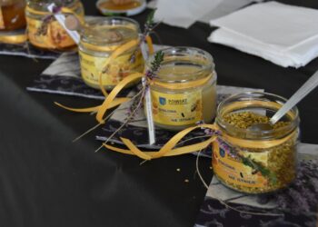 Stalowa Wola: Odbyło się VII forum pszczelarskie