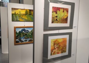 Mielec: Brzegami piękna