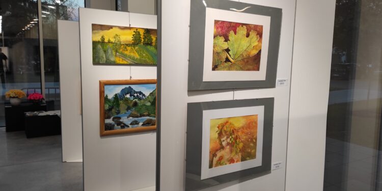 Mielec: Brzegami piękna