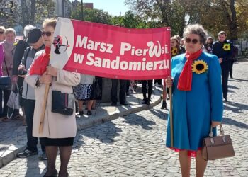 Sandomierz: Weźmy udział  IX Marszu Pier(w)si.