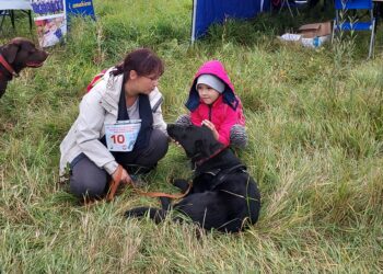 Sandomierz: Czego potrzeba schronisku dla psów?