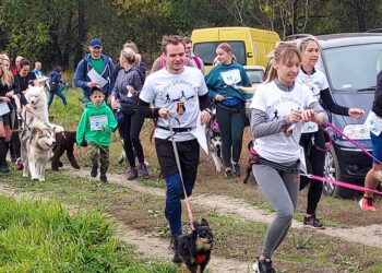 Sandomierz: Psy, ludzie i sport.