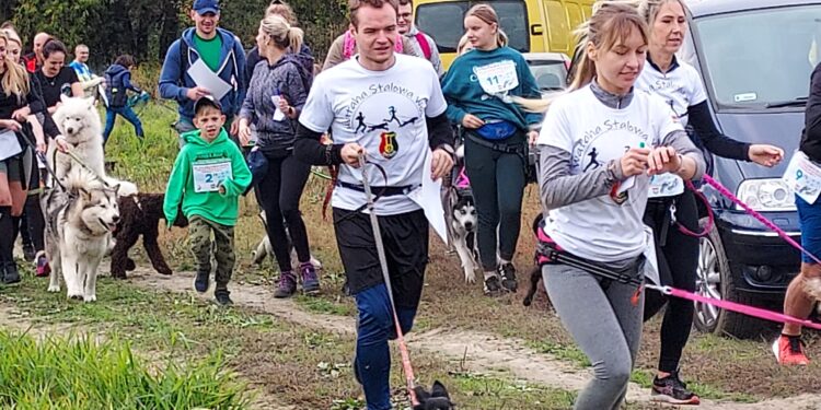 Sandomierz: Psy, ludzie i sport.