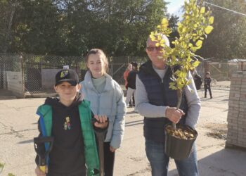 Tarnobrzeg. U Machowiaków będzie zielono