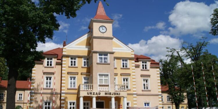 Dębica: Dostępny samorząd