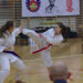 Mielec: Turniej SHORIN- RYU Karate