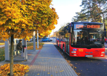 Stalowa Wola: We wtorek na cmentarze kursować będą bezpłatne linie specjalne.