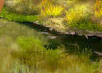 Stalowa Wola: Woda w zbiornikach w Parku Zimnej Wody jest uzupełniana