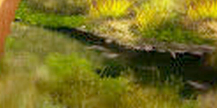 Stalowa Wola: Woda w zbiornikach w Parku Zimnej Wody jest uzupełniana