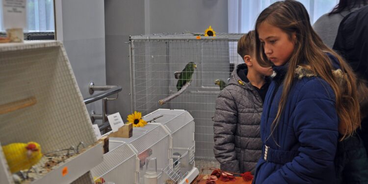 Mielec: 25. Mistrzostwa Ptaków Egzotycznych