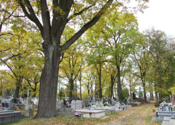 Rudnik nad Sanem: Będą kwestować na ratowanie zabytkowego nagrobka Hofmannów.